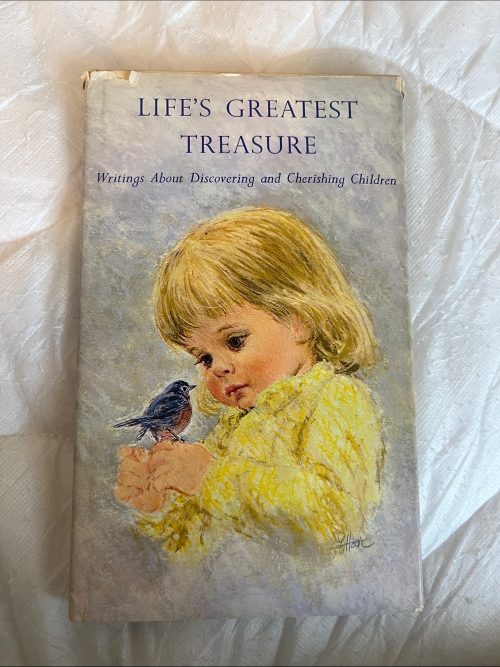 Hallmark Yellow and Blue 'Life's Greatest Treasure' Illustrated Book Cover